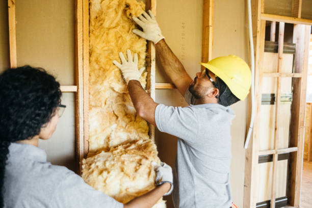 Garage Insulation Installation in Yorktown, TX